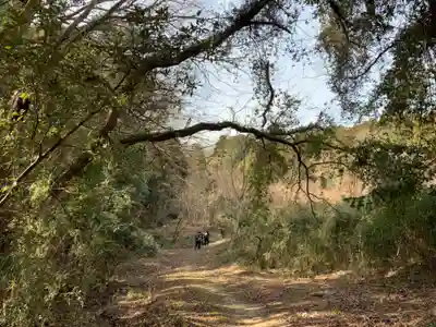 滝山不動尊の周辺