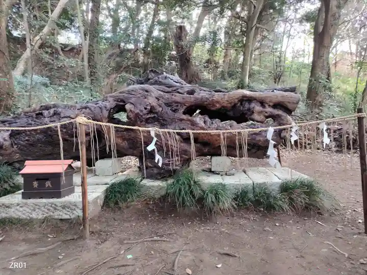 泉神社(茨城県)