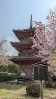 宝積寺(京都府)