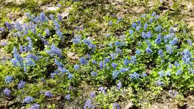 浦臼神社(北海道)