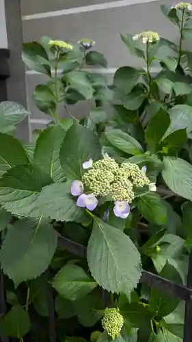 行願寺（革堂）(京都府)