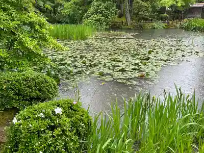 金澤神社(石川県)