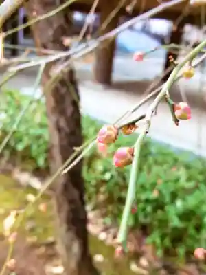 妙法寺(東京都)