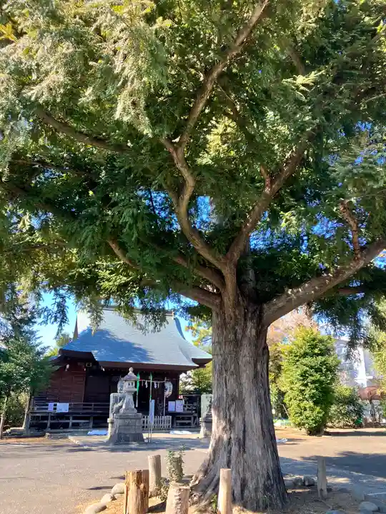 御霊神社(東京都)