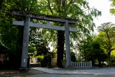 葛西神社の鳥居
