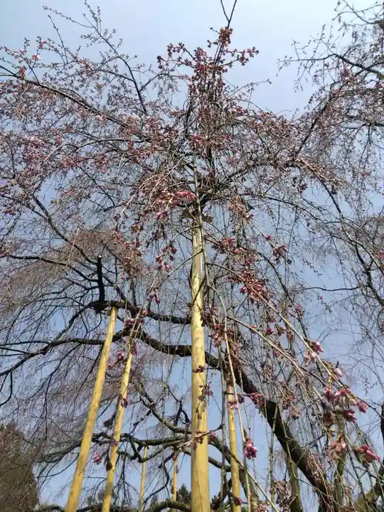 足羽神社(福井県)