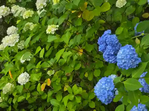 明寿院(滋賀県)