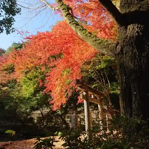 延命寺(大阪府)