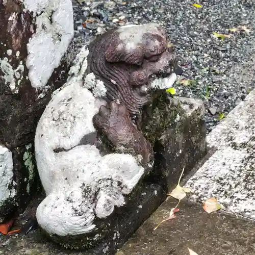 伊古奈比咩命神社の狛犬