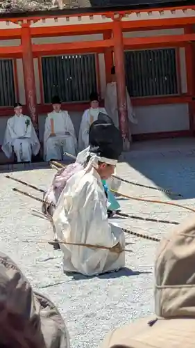 賀茂御祖神社（下鴨神社）(京都府)