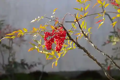 松花堂 泰勝寺(京都府)
