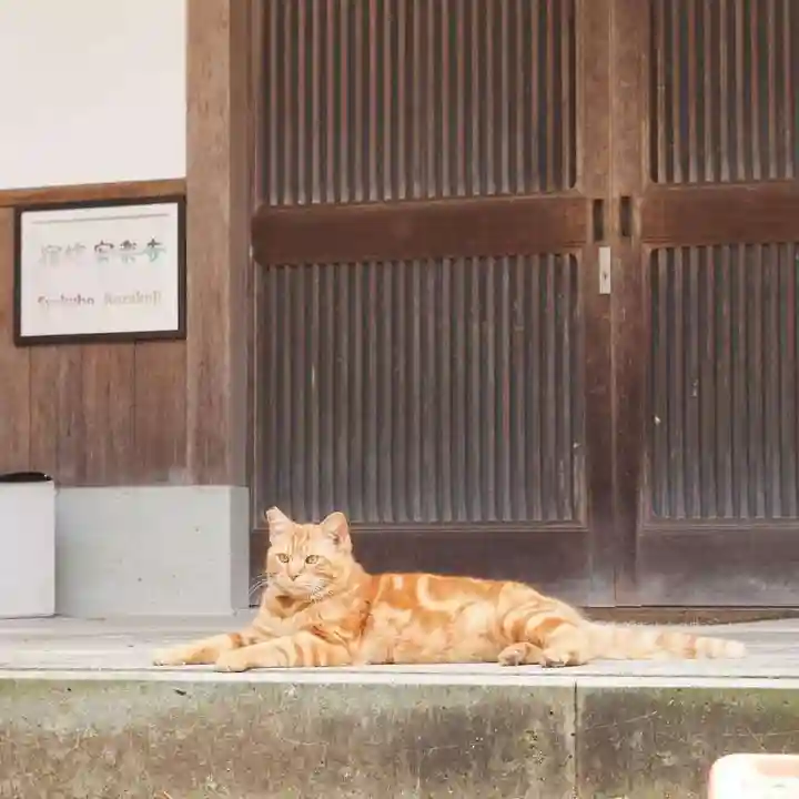 天王山 安楽寺(福井県)