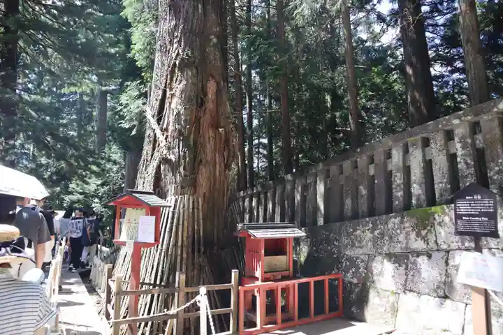 日光東照宮奥宮拝殿(栃木県)