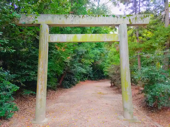神明社(小間町)の鳥居