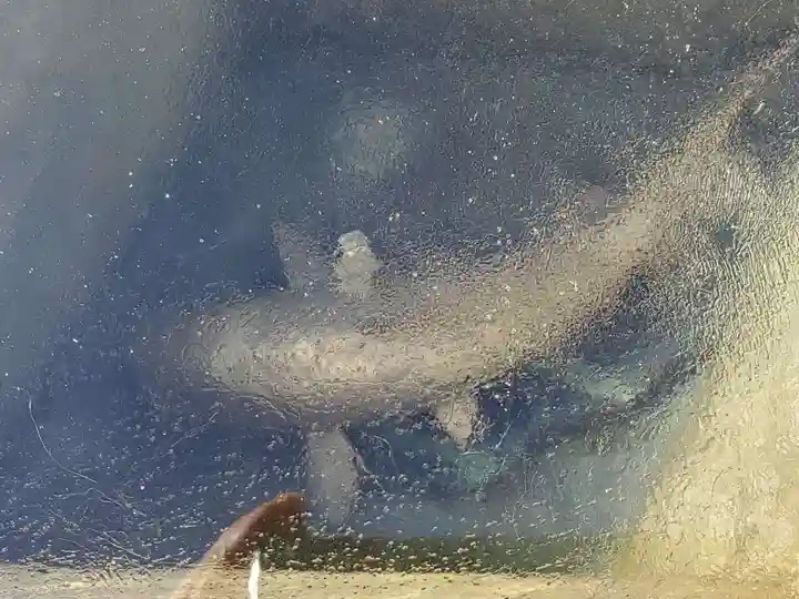 歓喜院のその他建物