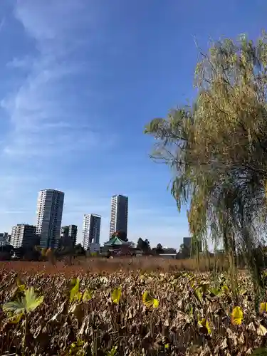 寛永寺不忍池弁天堂の景色