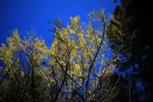 福榮神社の自然