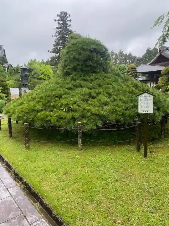 大聖寺(土浦大師不動尊)(茨城県)