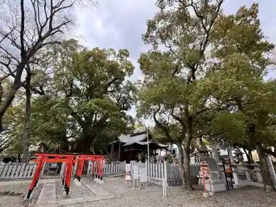 信太森神社（葛葉稲荷神社）(大阪府)