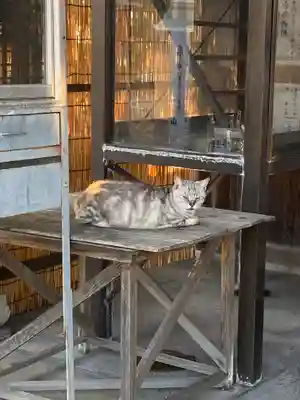 横樋観音(岡山県)