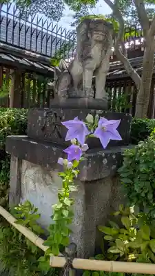 晴明神社(京都府)