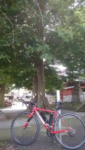 滝野川八幡神社(東京都)