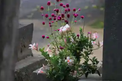 熊野福藏神社の手水舎