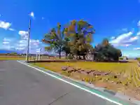 白髭大明神社(上祖父江)の自然