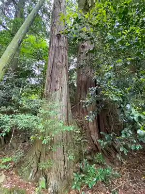 龍華寺(広島県)