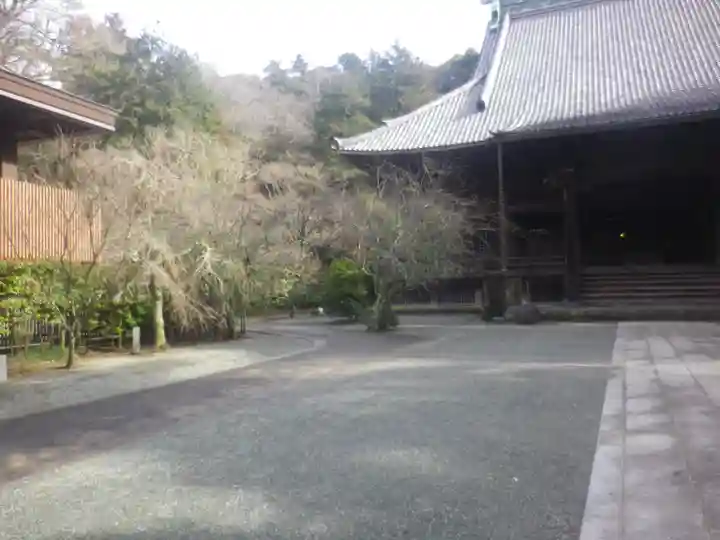 妙本寺のその他建物