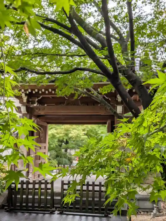 高円寺(東京都)