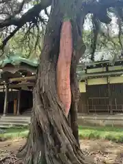 円覚寺(神奈川県)