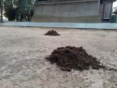 伏木香取神社のその他建物