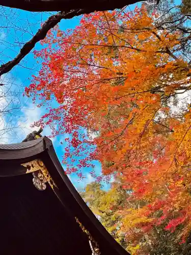 岡崎神社の景色