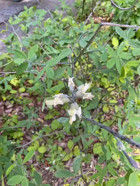 光照寺(愛知県)