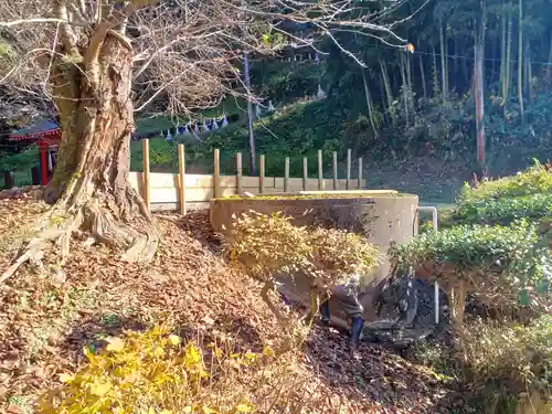 白狐山光星寺(山形県)