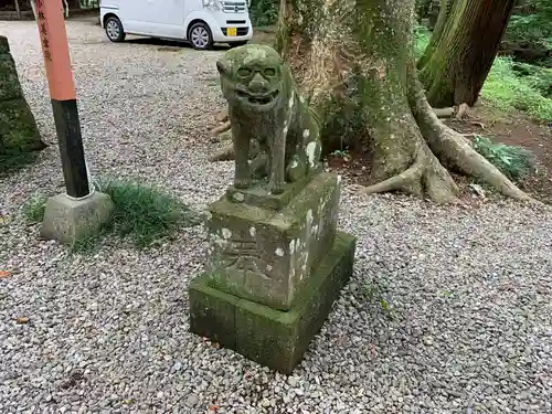 間々田八幡宮の狛犬