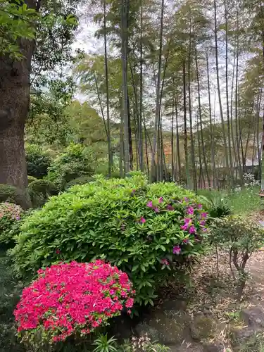 仏行寺（佛行寺）の自然