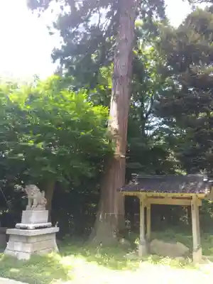 諸岡比古神社（二所宮）(石川県)