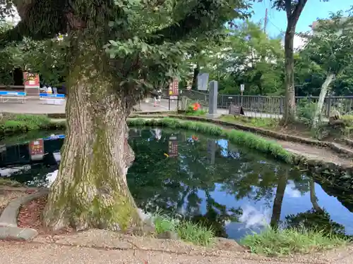 淺間神社（忍野八海）の庭園