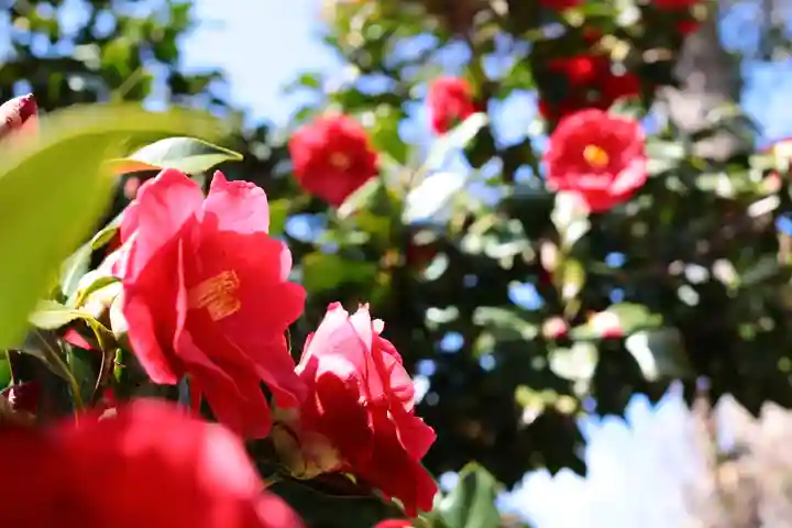三津厳島神社(愛媛県)