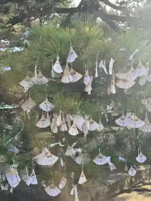 智恩寺(京都府)