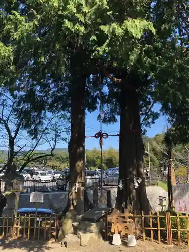 武雄神社(佐賀県)