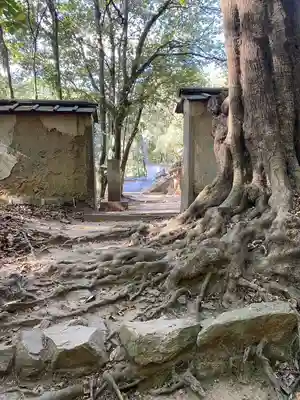 曹源寺(岡山県)