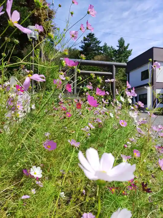 浦河神社(北海道)