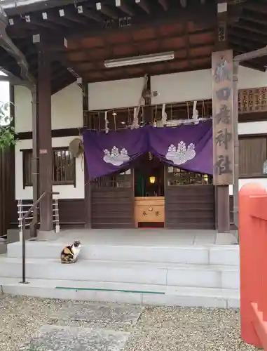 猿田彦神社の本殿・本堂