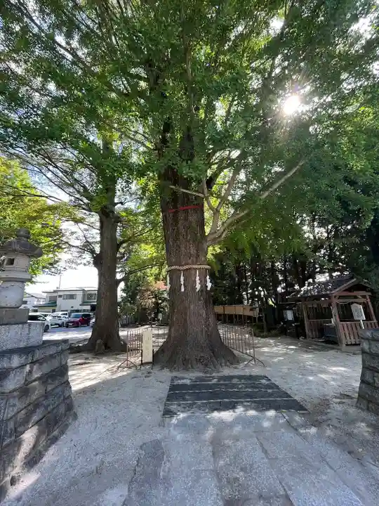春日部八幡神社(埼玉県)