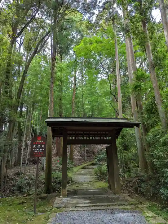 正伝護国禅寺(正伝寺・正傳寺)(京都府)