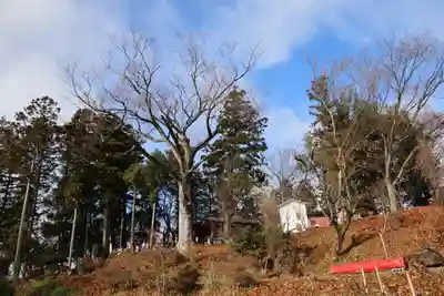 阿久津「田村神社」（郡山市阿久津町）旧社名：伊豆箱根三嶋三社の景色