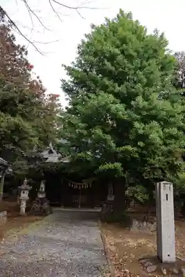 諏訪神社(埼玉県)